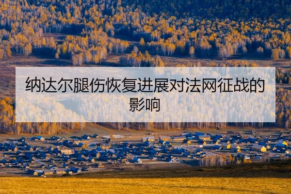 na-da-er-tui-shang-hui-fu-jin-zhan-dui-fa-wang-zheng-zhan-de-ying-xiang-2-846.jpg